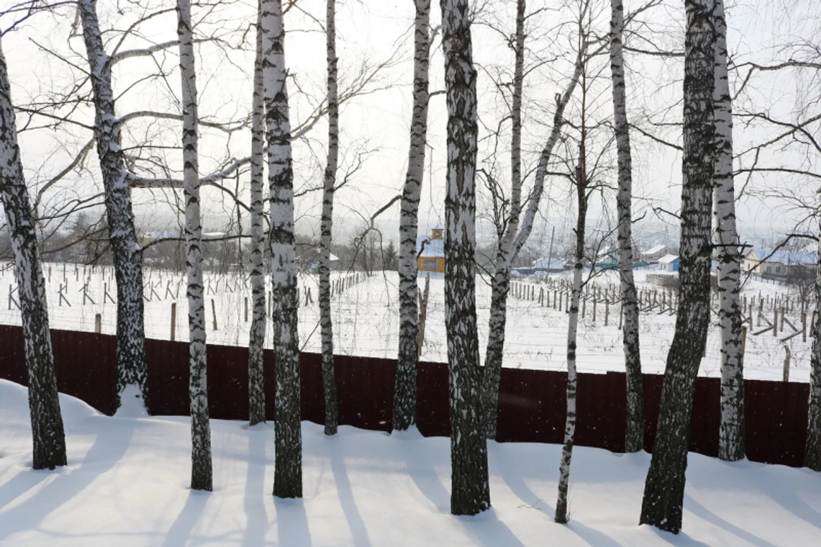 Фото Фарида Гильмиярова.