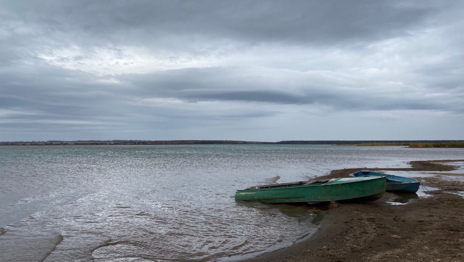 Елены Колоколовой.