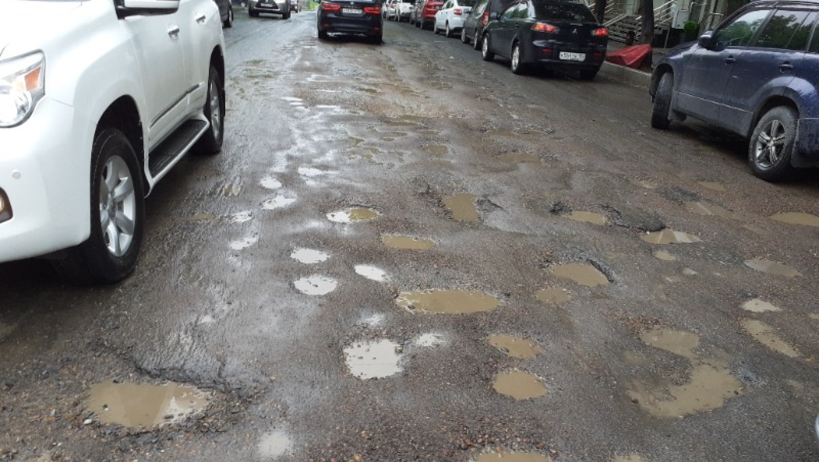 Владимира Шакиева.