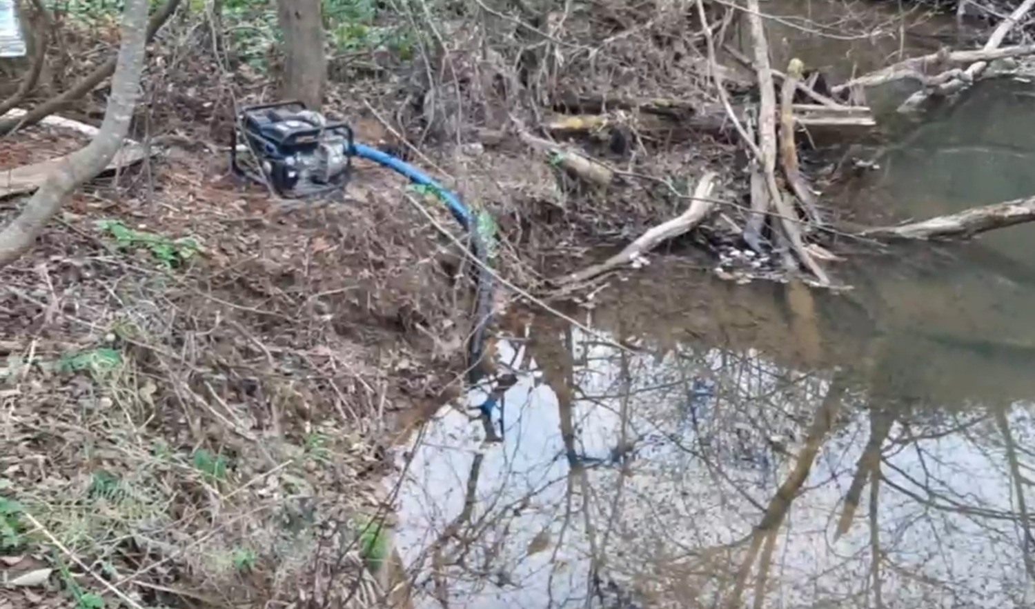 Юлии Кошкиной.