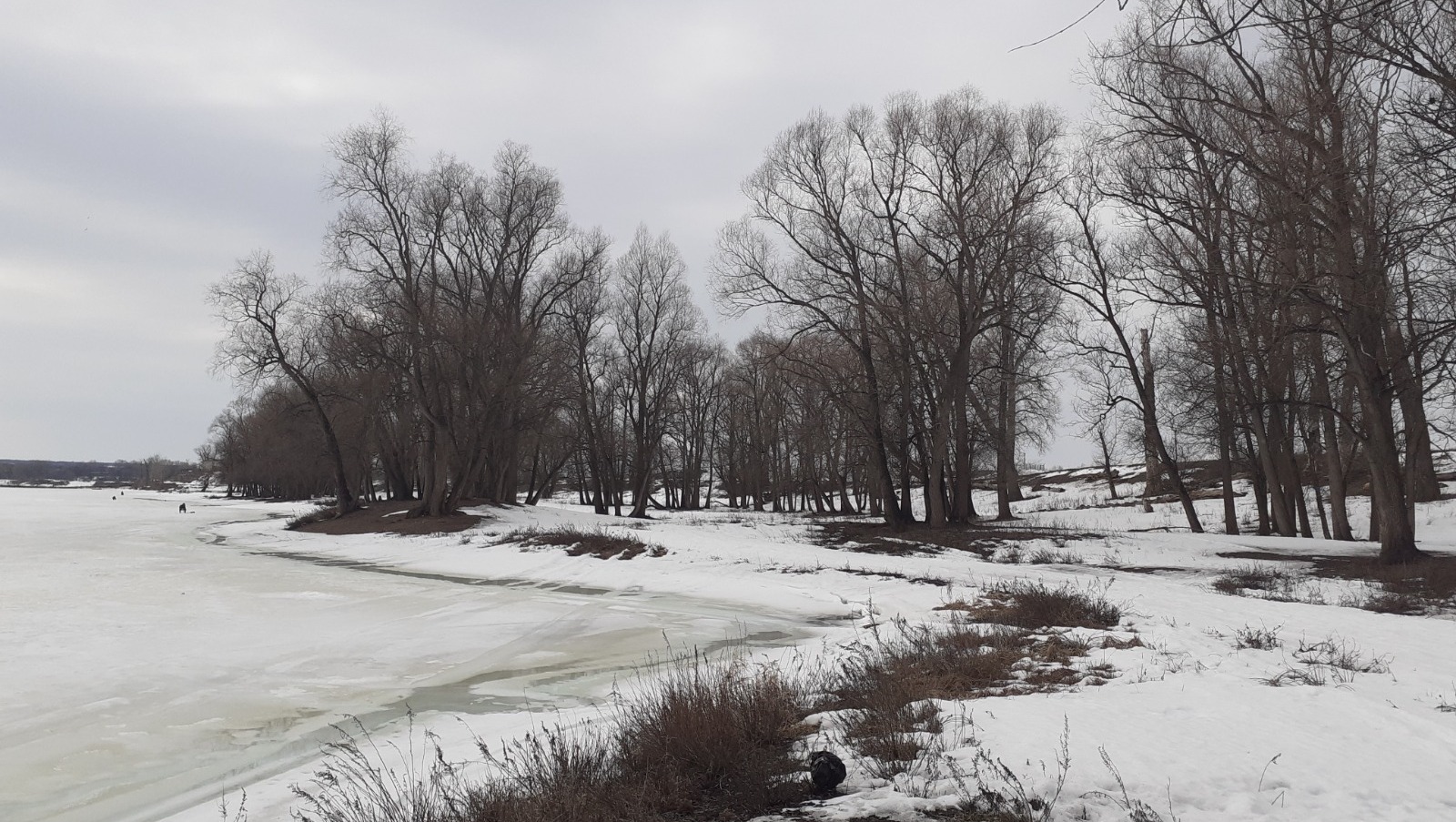 Владимира Шакиева. «Общественная электронная газета».