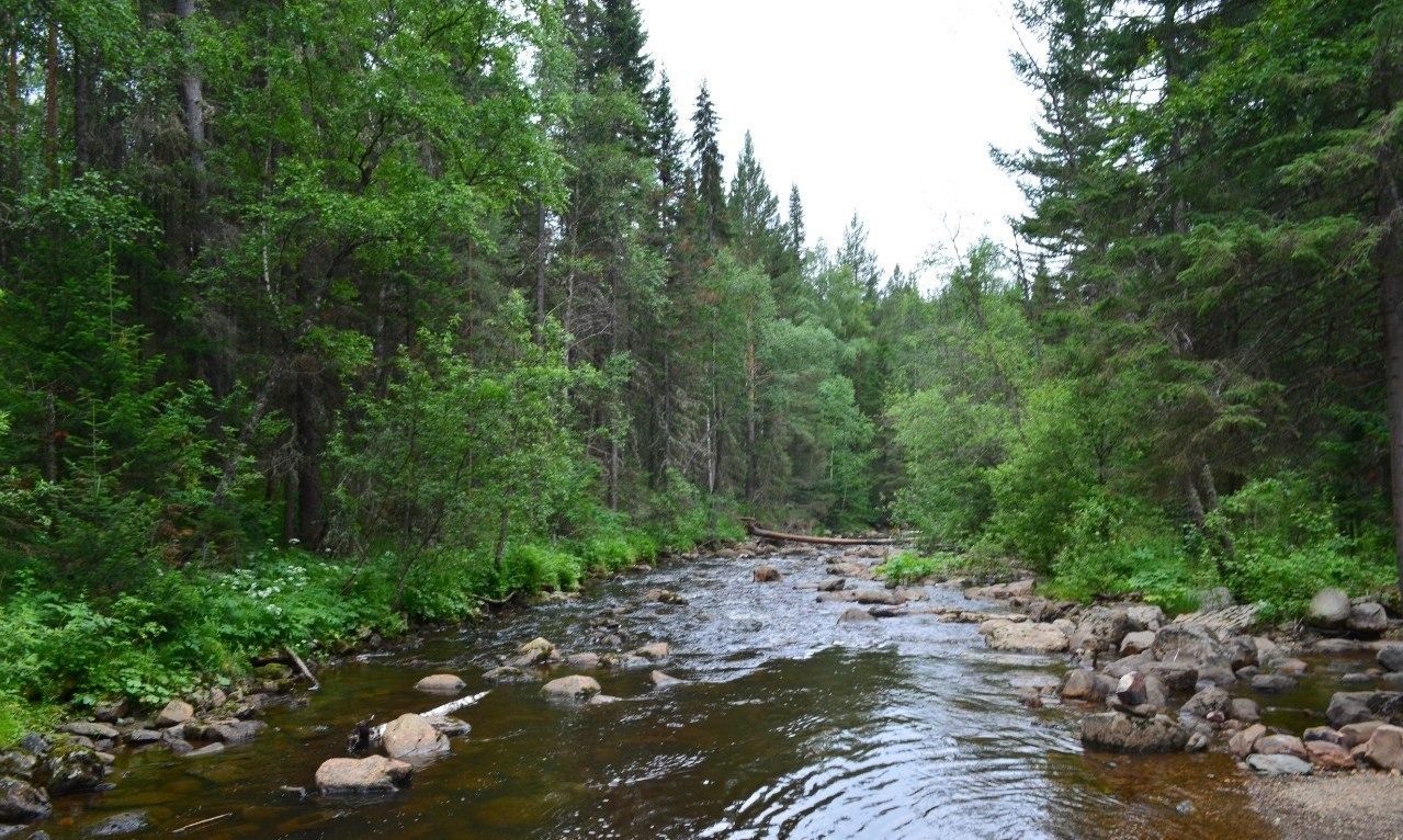 Владимира Шакиева.