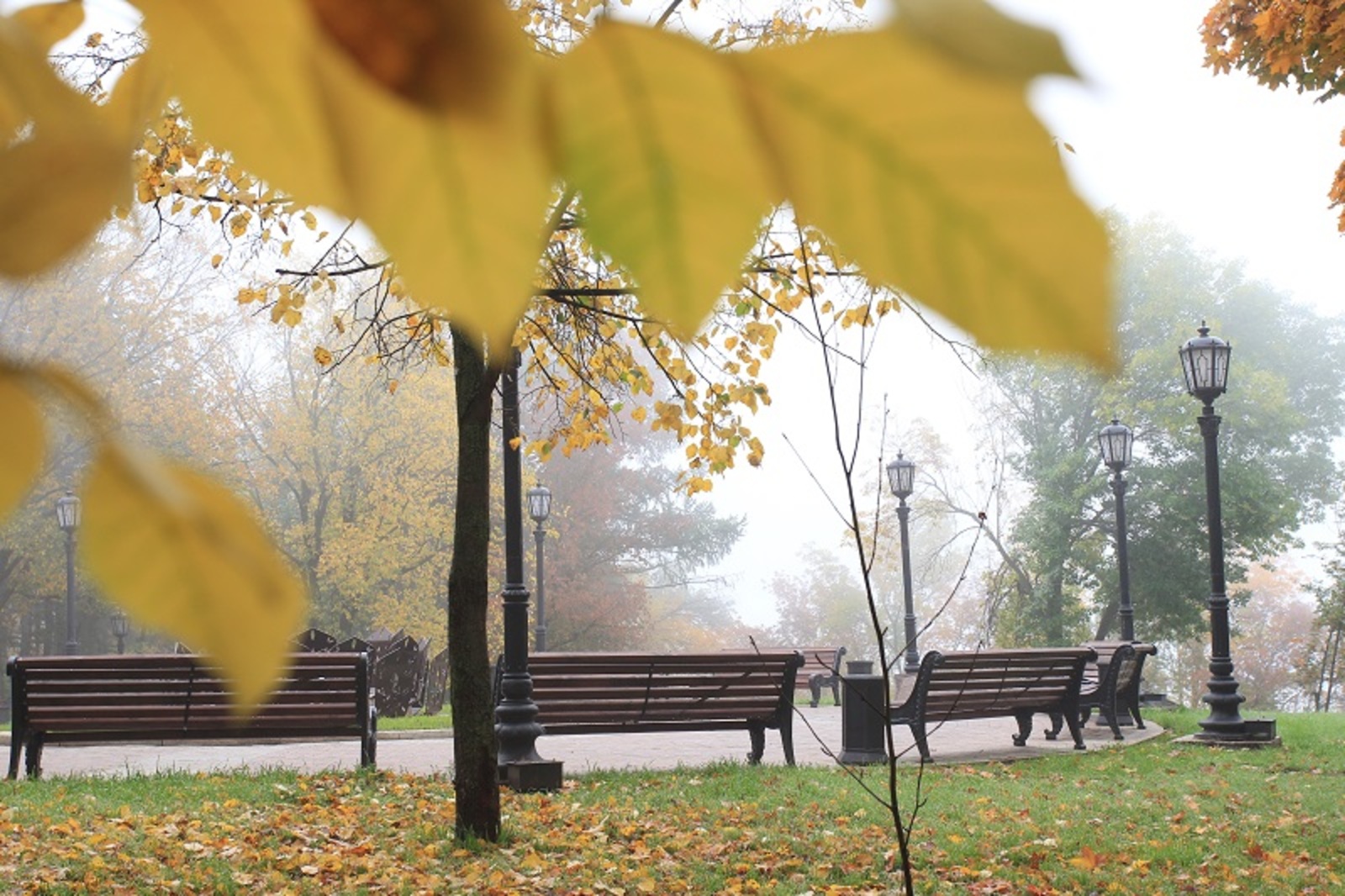 Фото Олега Яровикова.