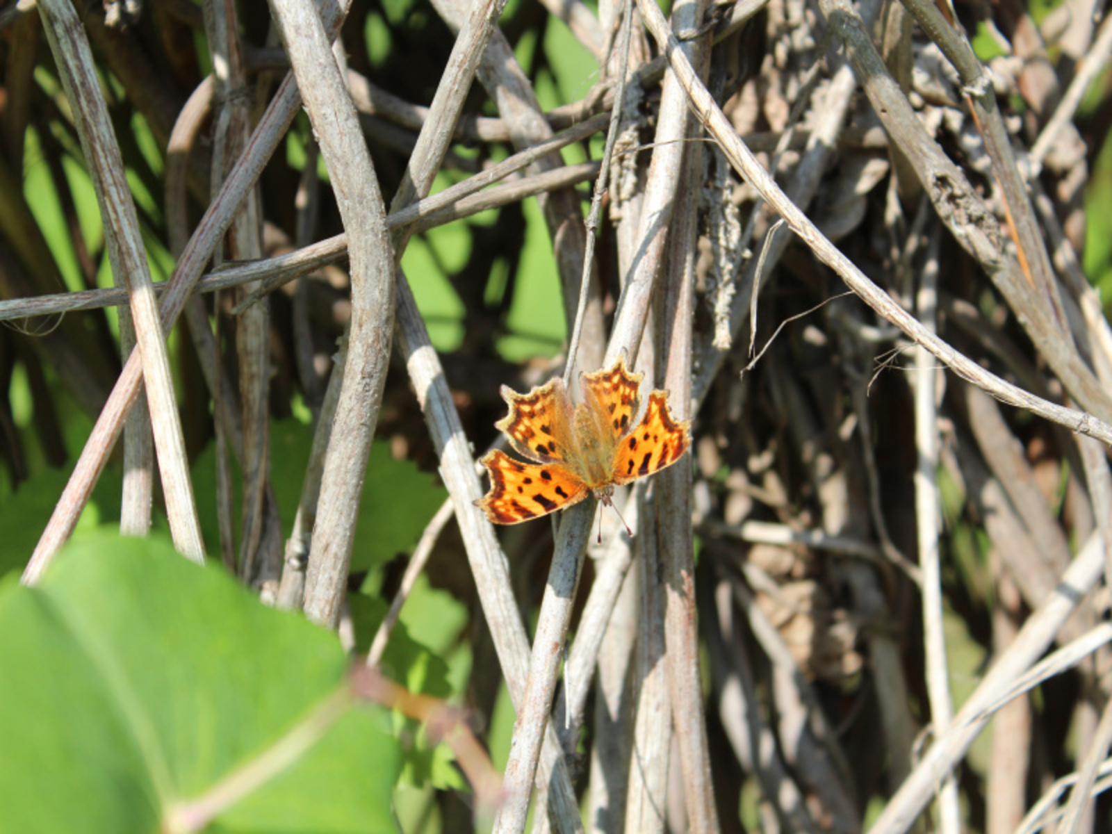 Фото Дарьи Святохиной.