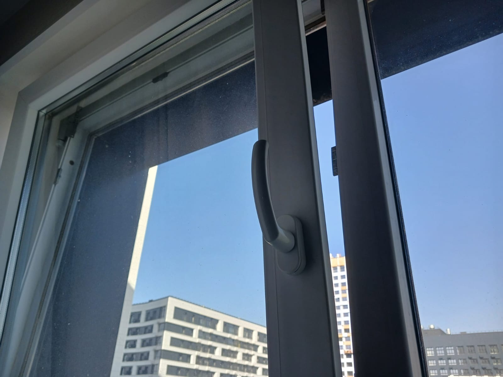 Васили Саитовой.