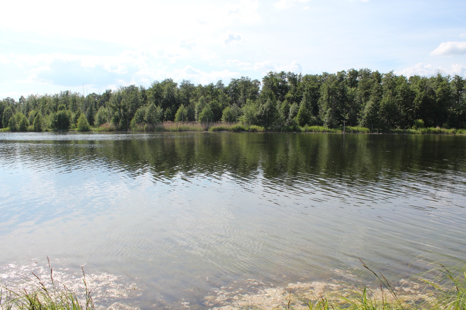 Дарьи Святохиной.