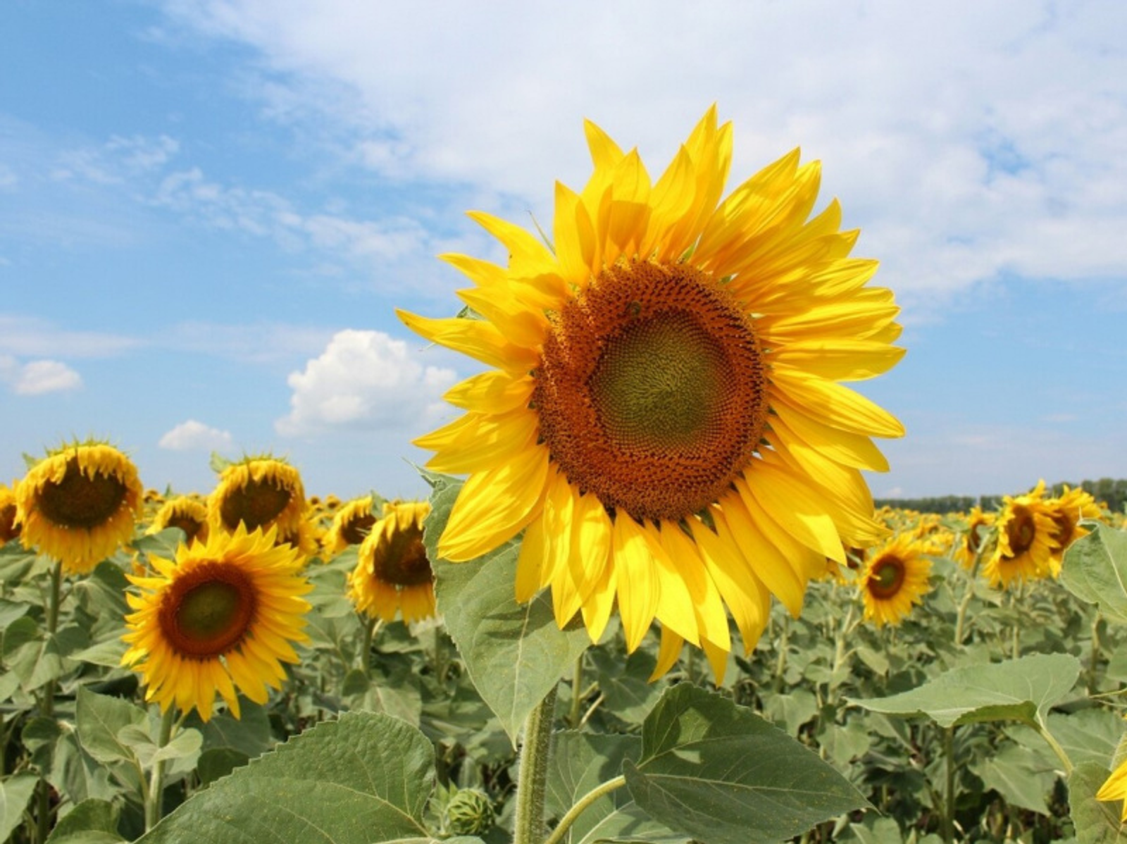 Фото Дарьи Святохиной.