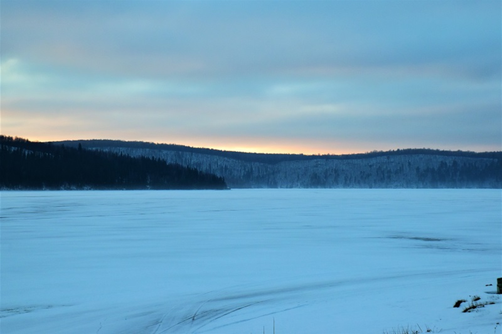 Фото Елены Колоколовой.