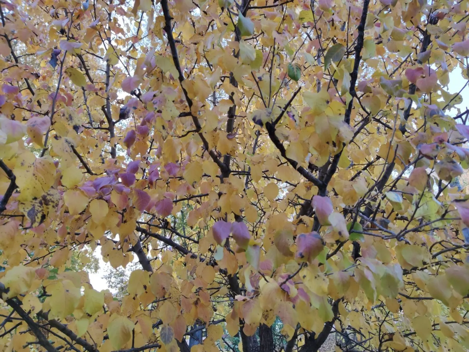 Дарьи Святохиной.