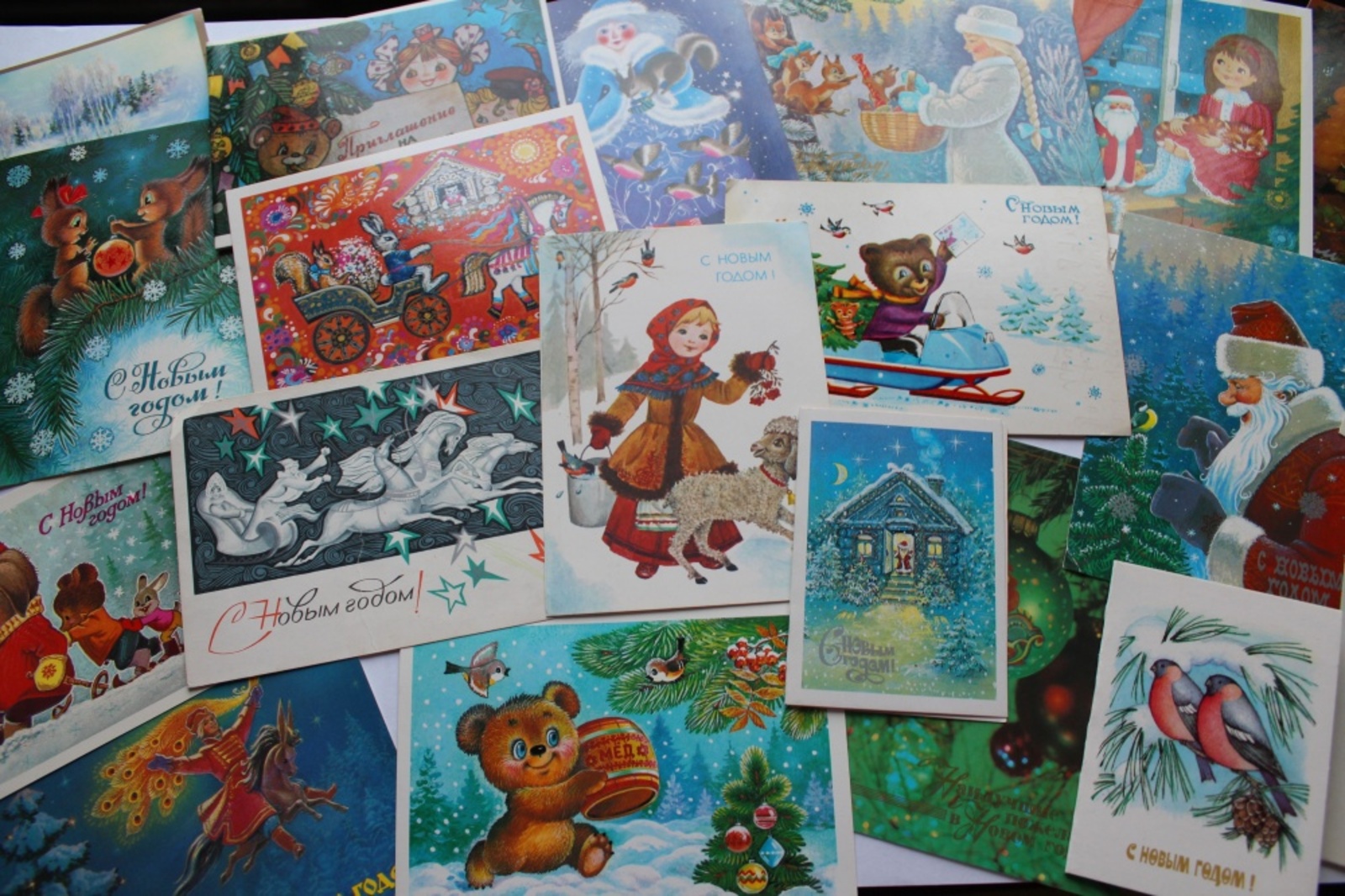 Фото Дарьи Святохиной.