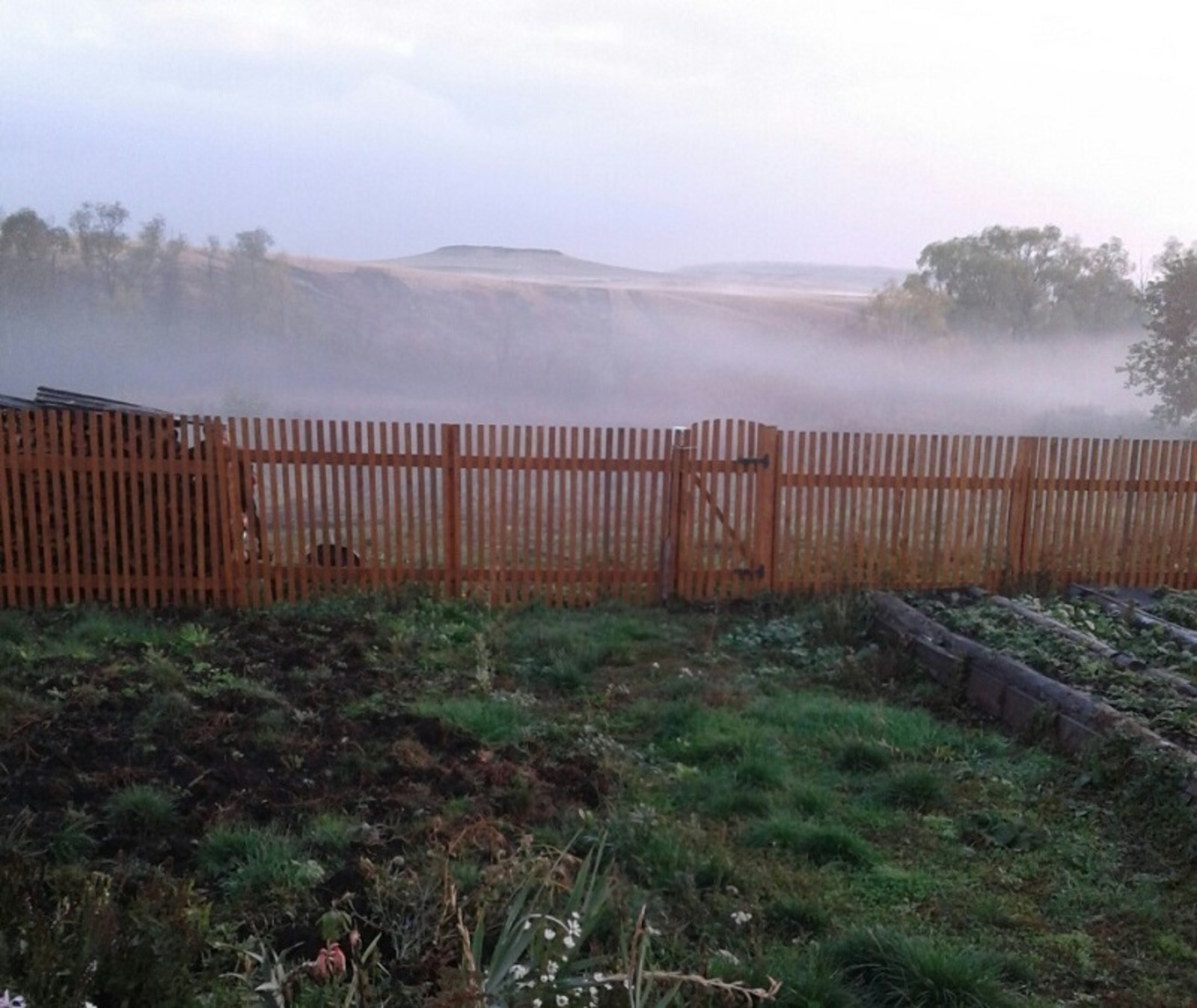 Фото автора.