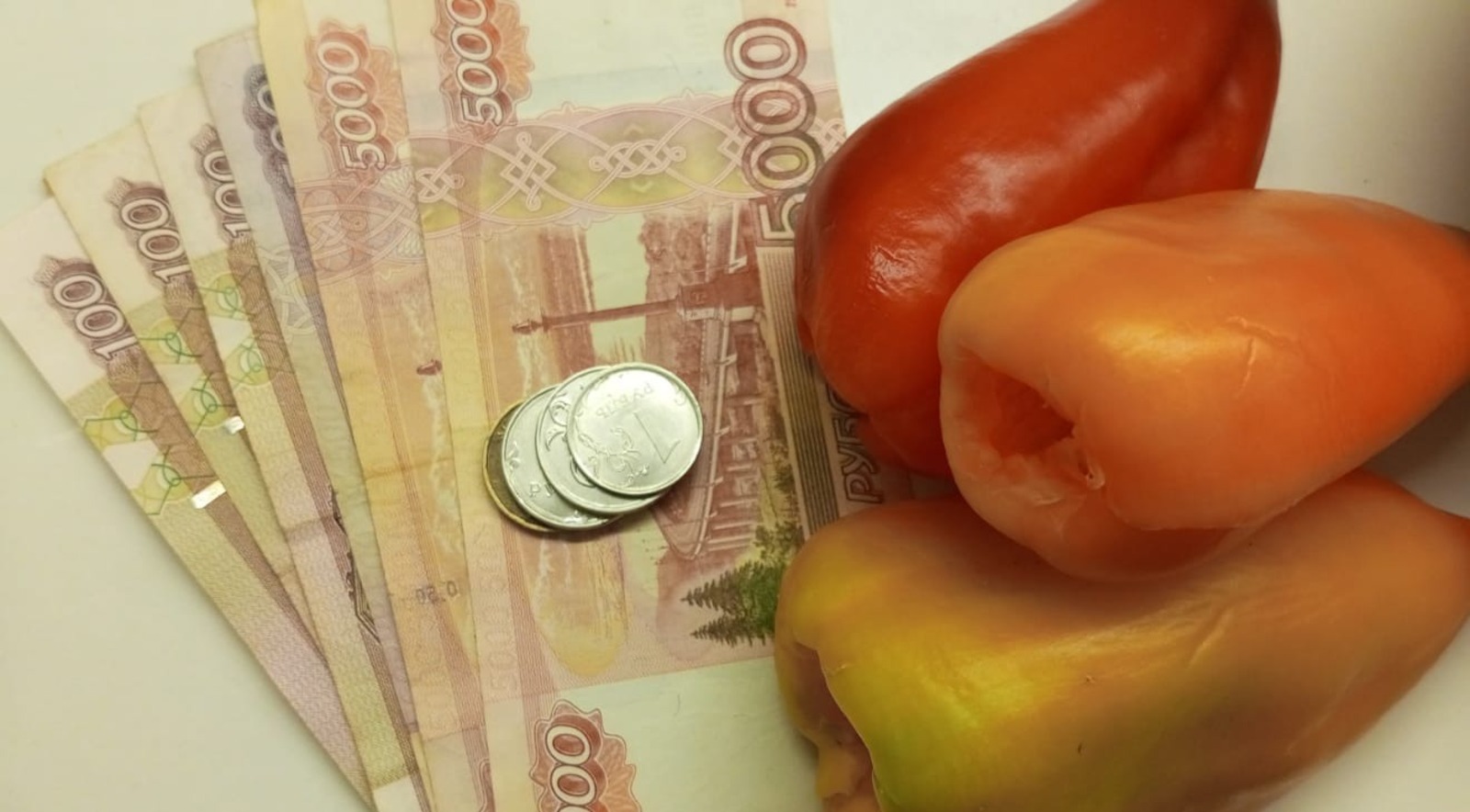 Евгении Сюткиной. "Общественная электронная газета".