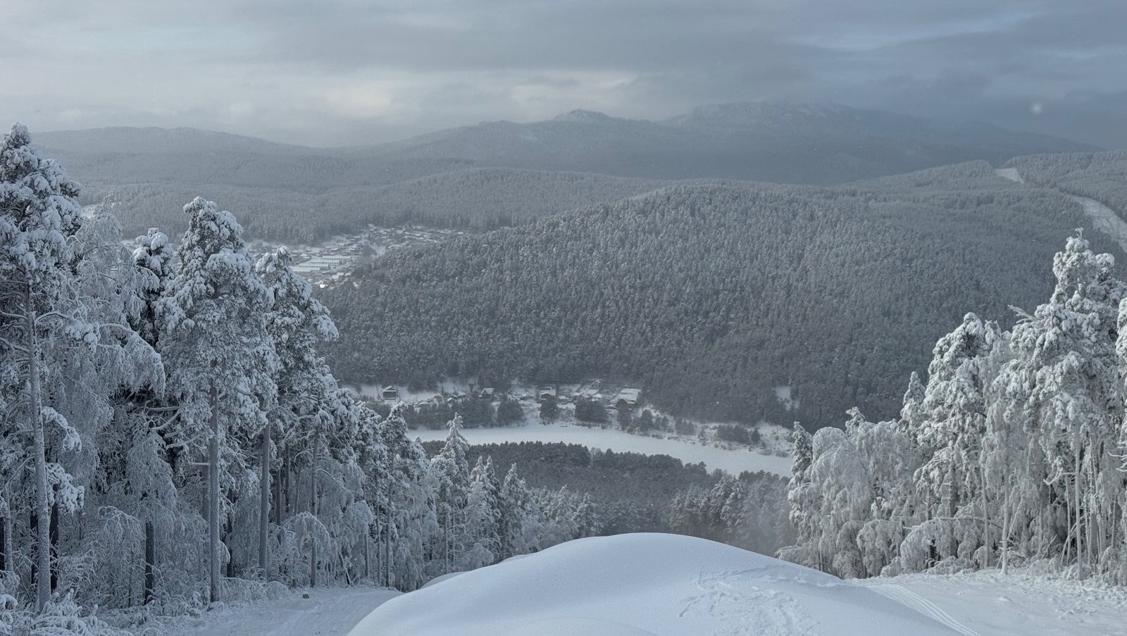 Елены Колоколовой. «Общественная электронная газета».