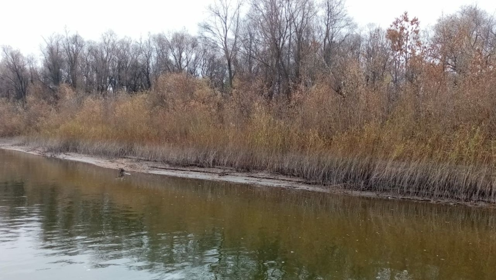 Teiegram Управления гражданской защиты Уфы.