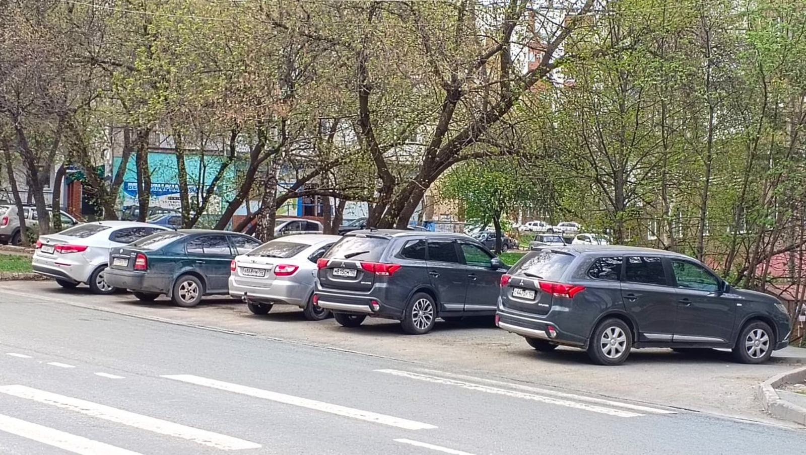 Евгении Сюткиной.