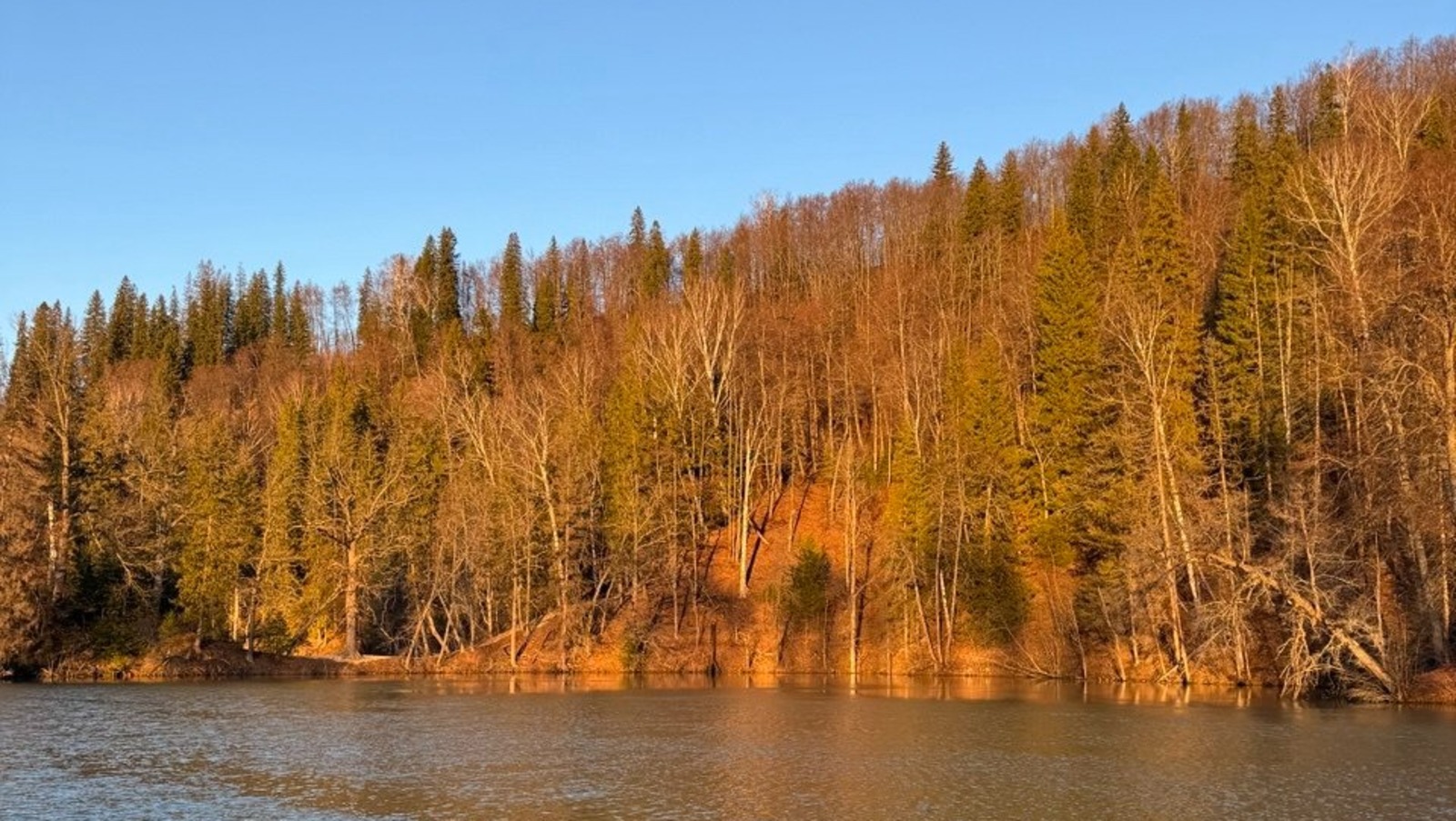 Елены Колоколовой.  "Общественная электронная газета".