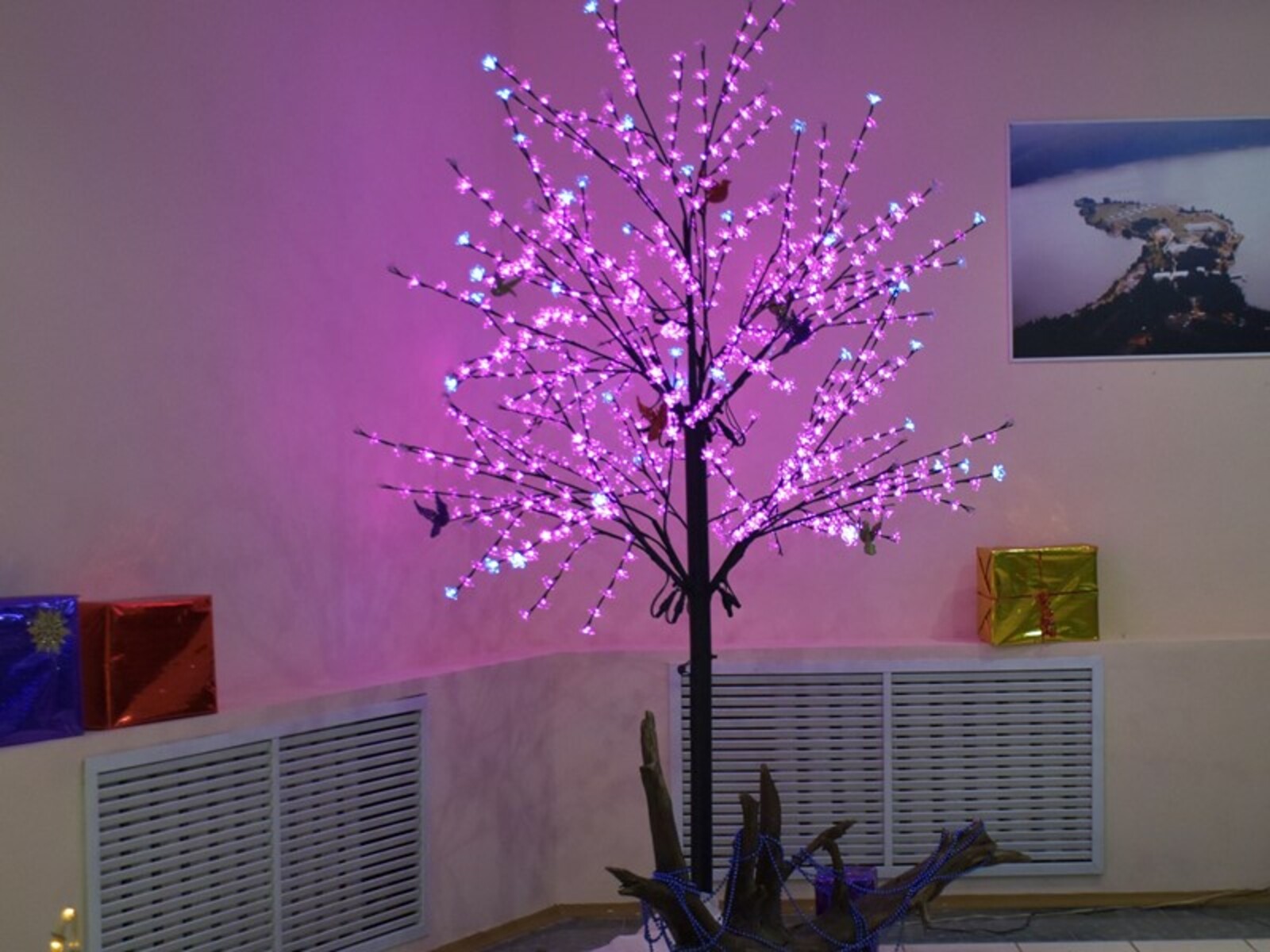 Фото Елены Колоколовой.