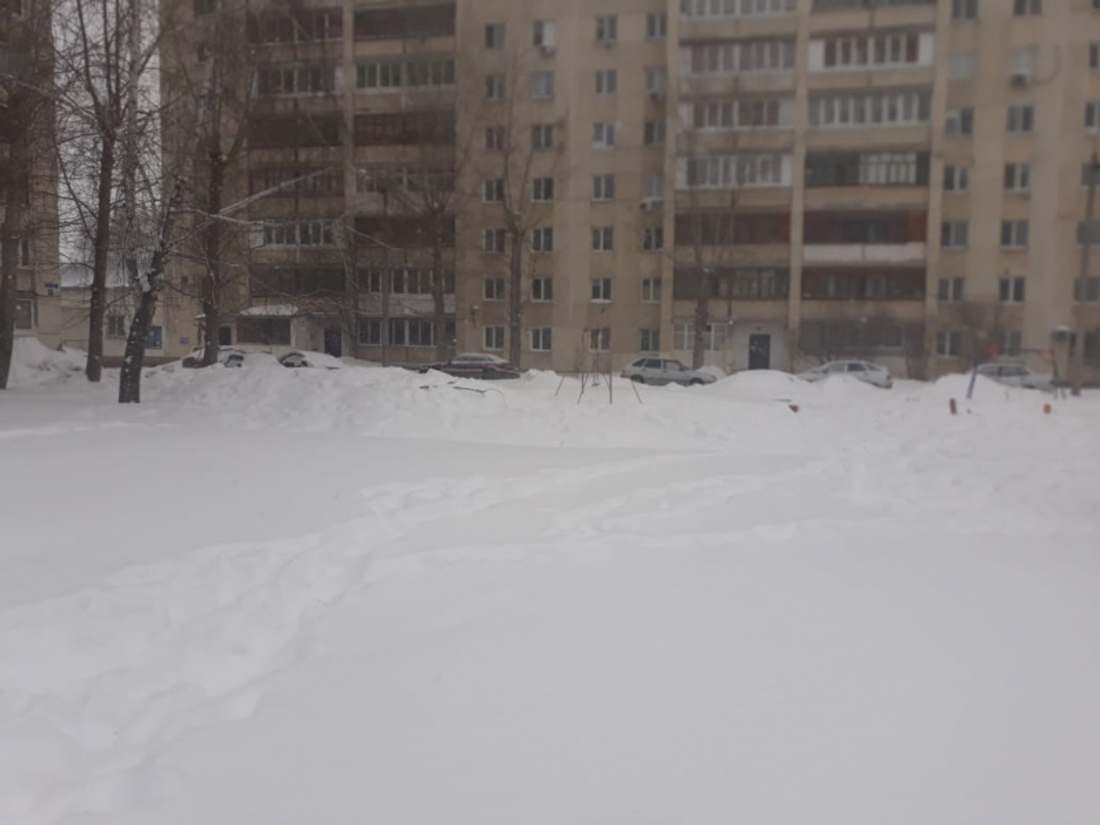 Фото с личной страницы Радия Хабирова.