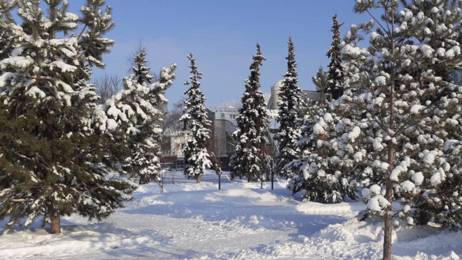 Фото автора.