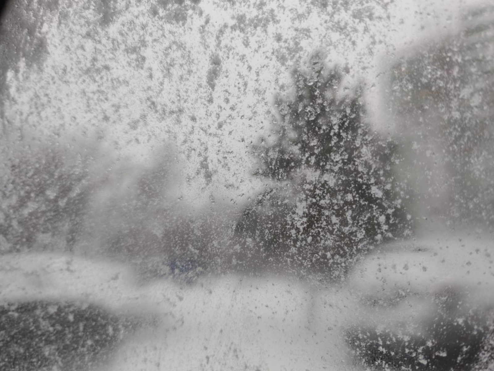 Дарьи Святохиной. «Общественная электронная газета».