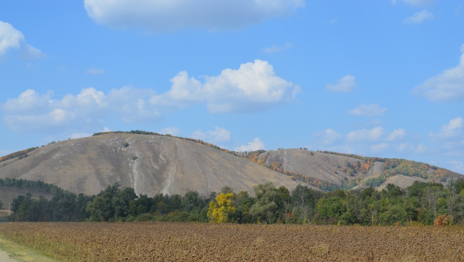 Владимира Шакиева.