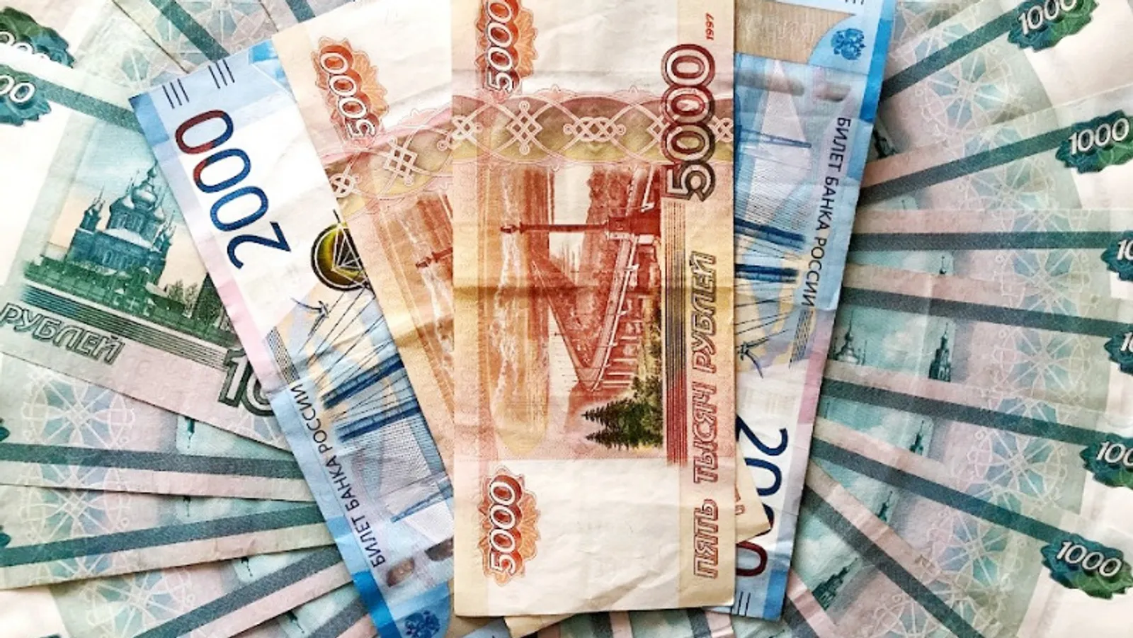 Елены Колоколовой.