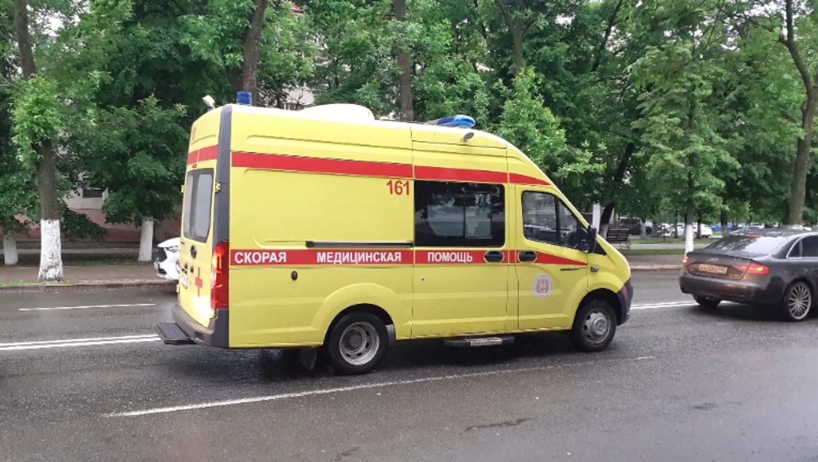 Владимира Шакиева.