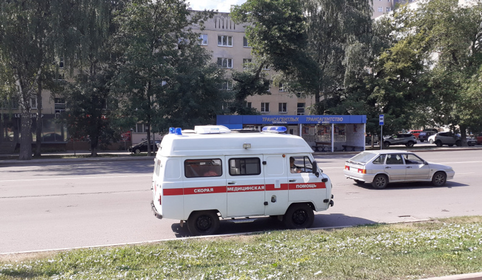 Фото автора.