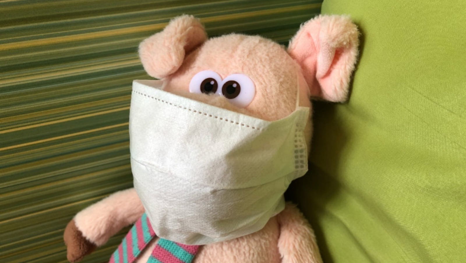 Елены Колоколовой.