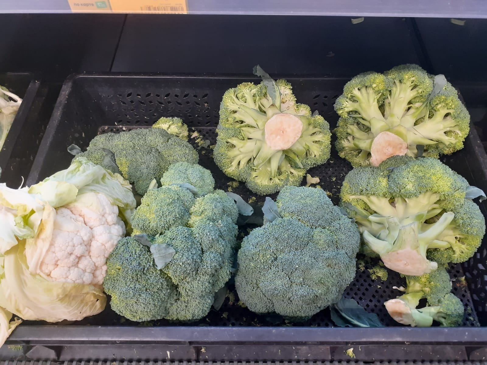 Владимира Шакиева.