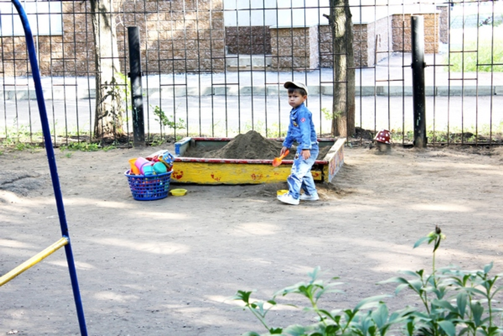 Фото Елены Колоколовой.