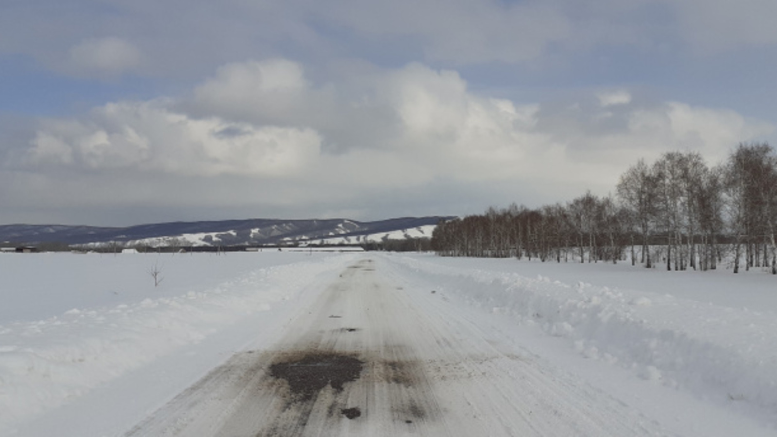 Фото автора.