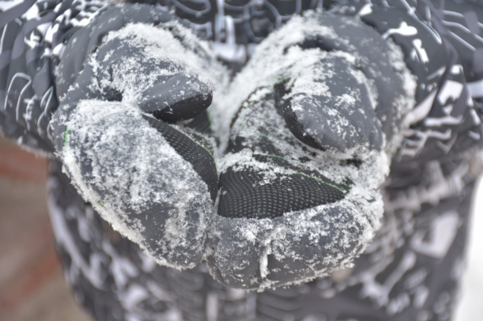 Фото автора.