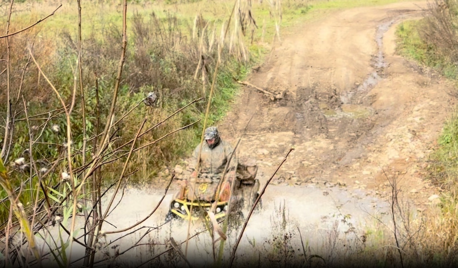 Юлии Кошкиной.