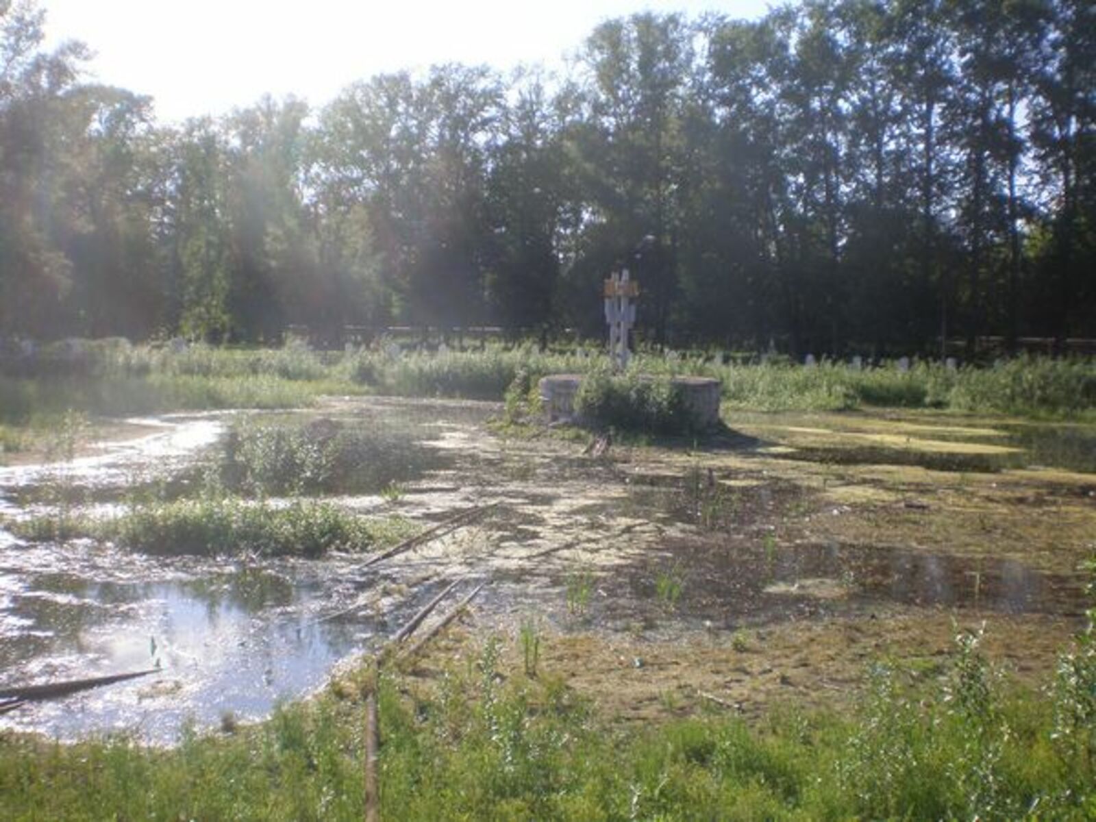 Фото автора.