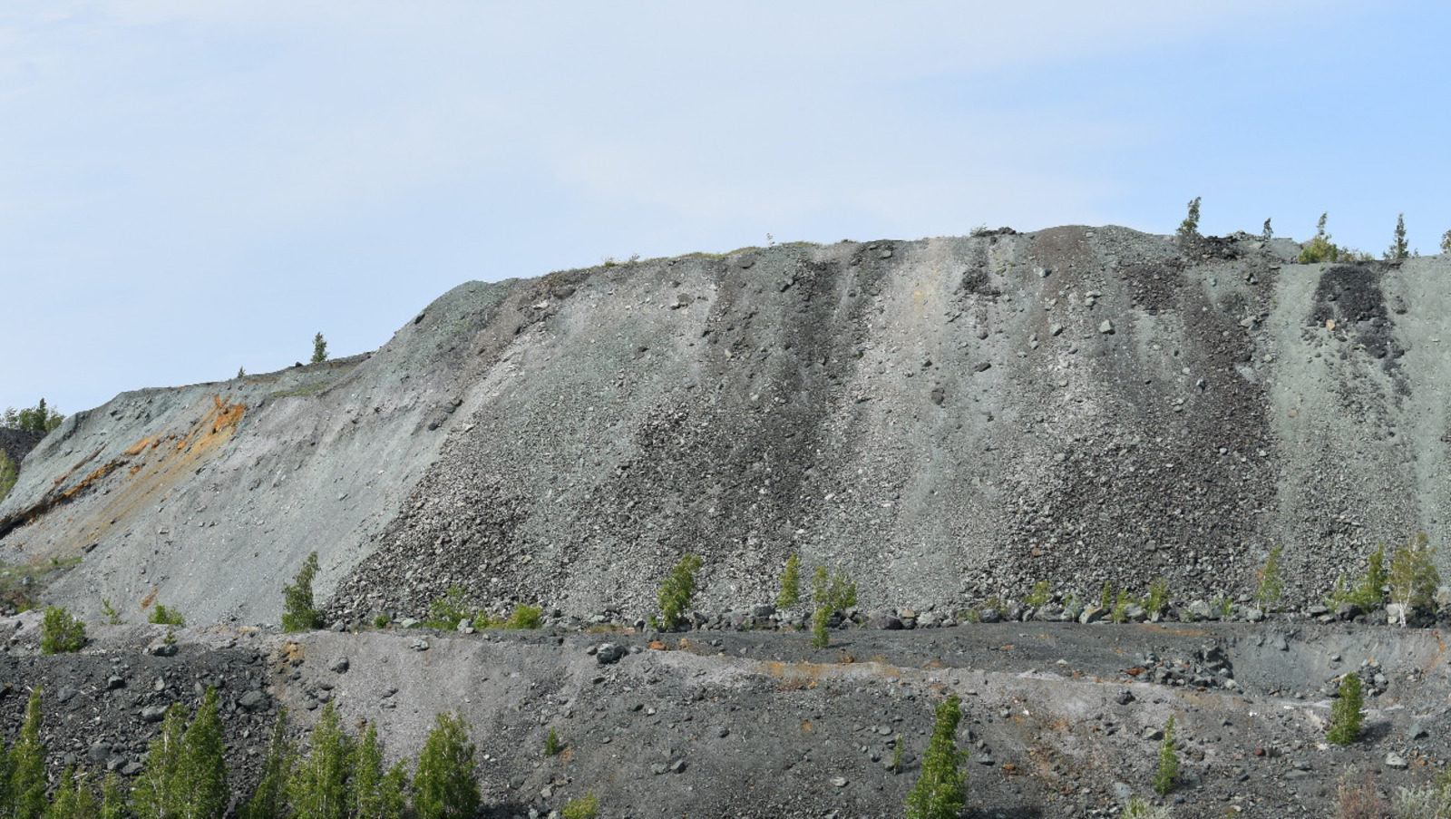 Елены Колоколовой.