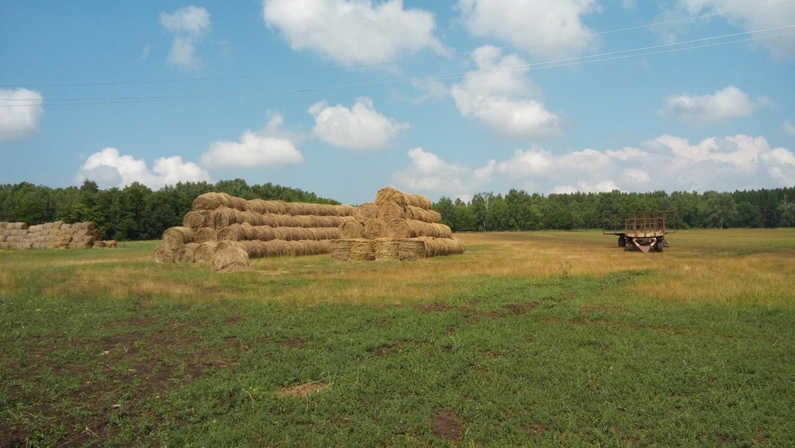 Евгении Сюткиной.