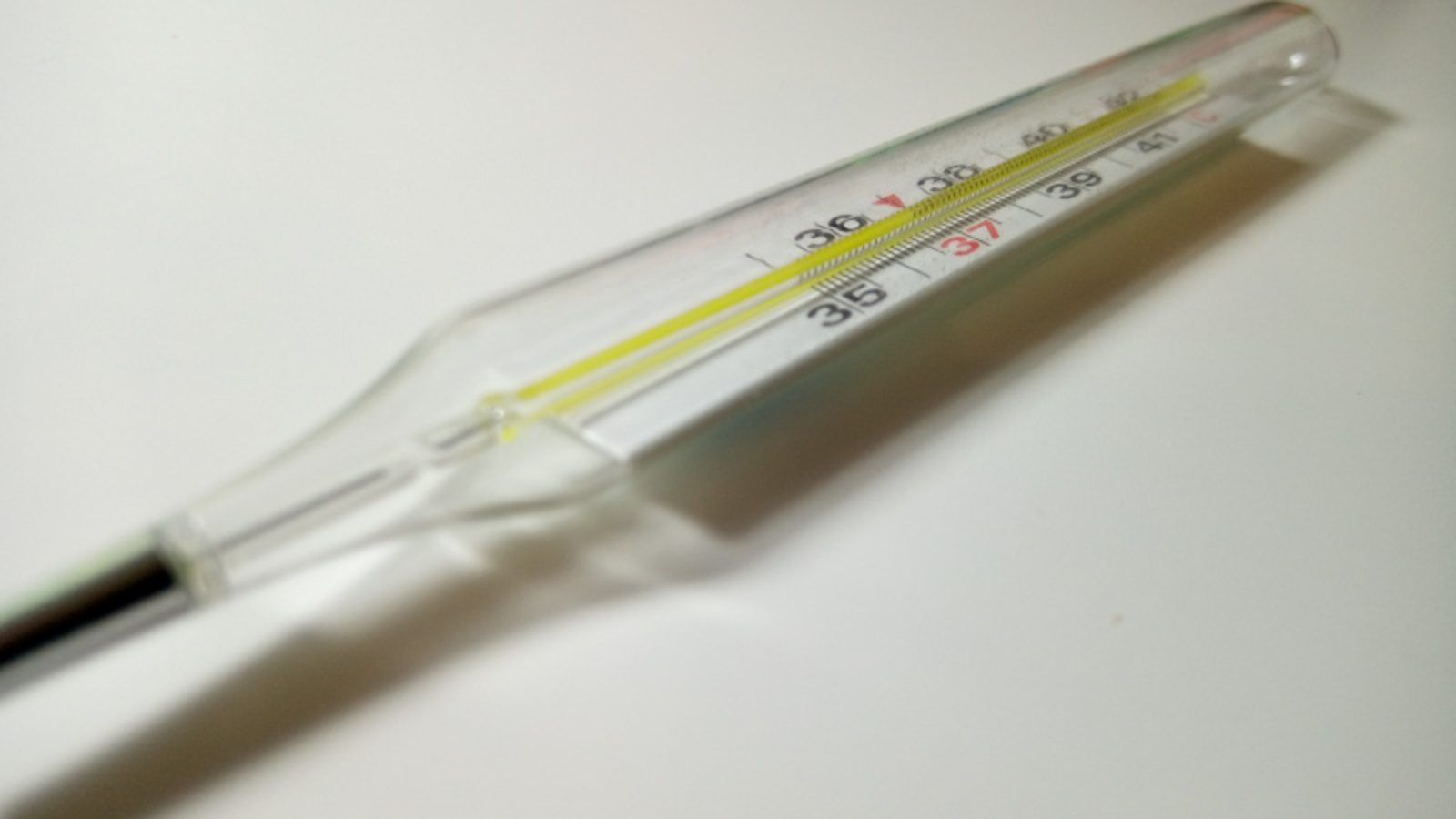 Фото Васили Саитовой.