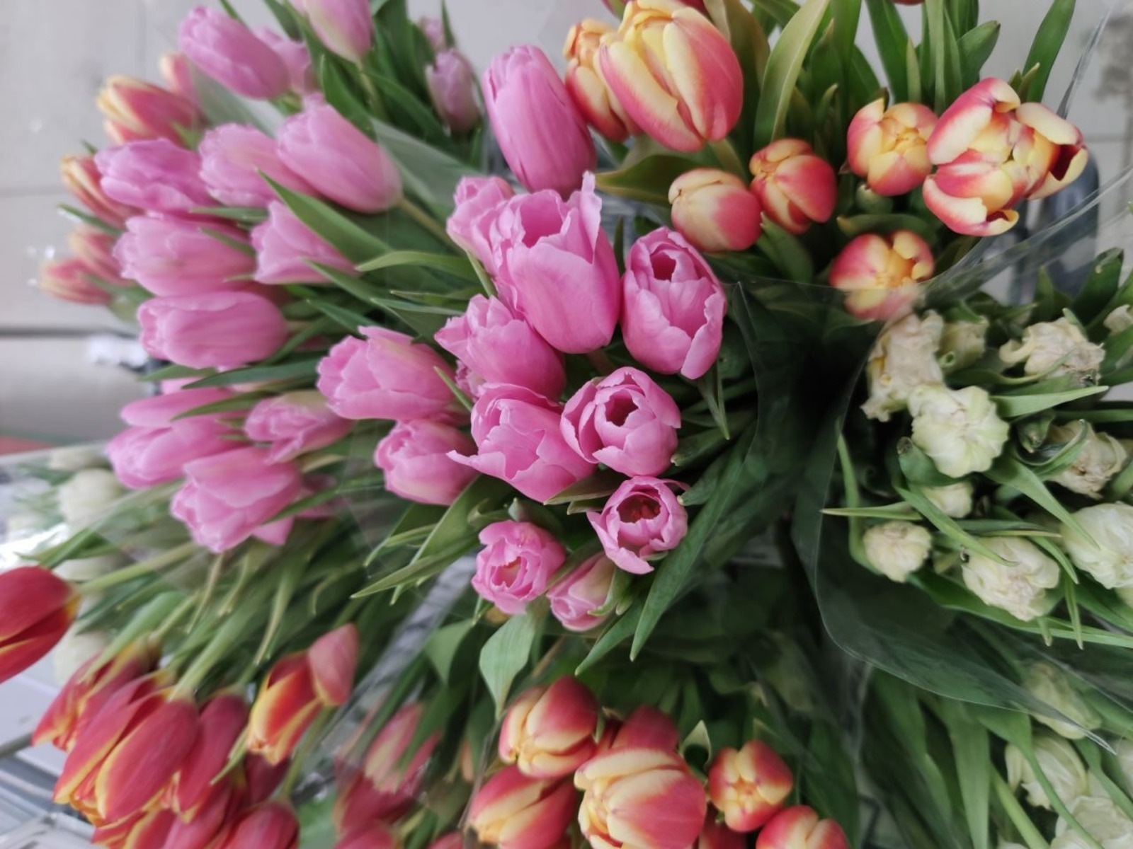 Дарьи Святохиной. «Общественная электронная газета».