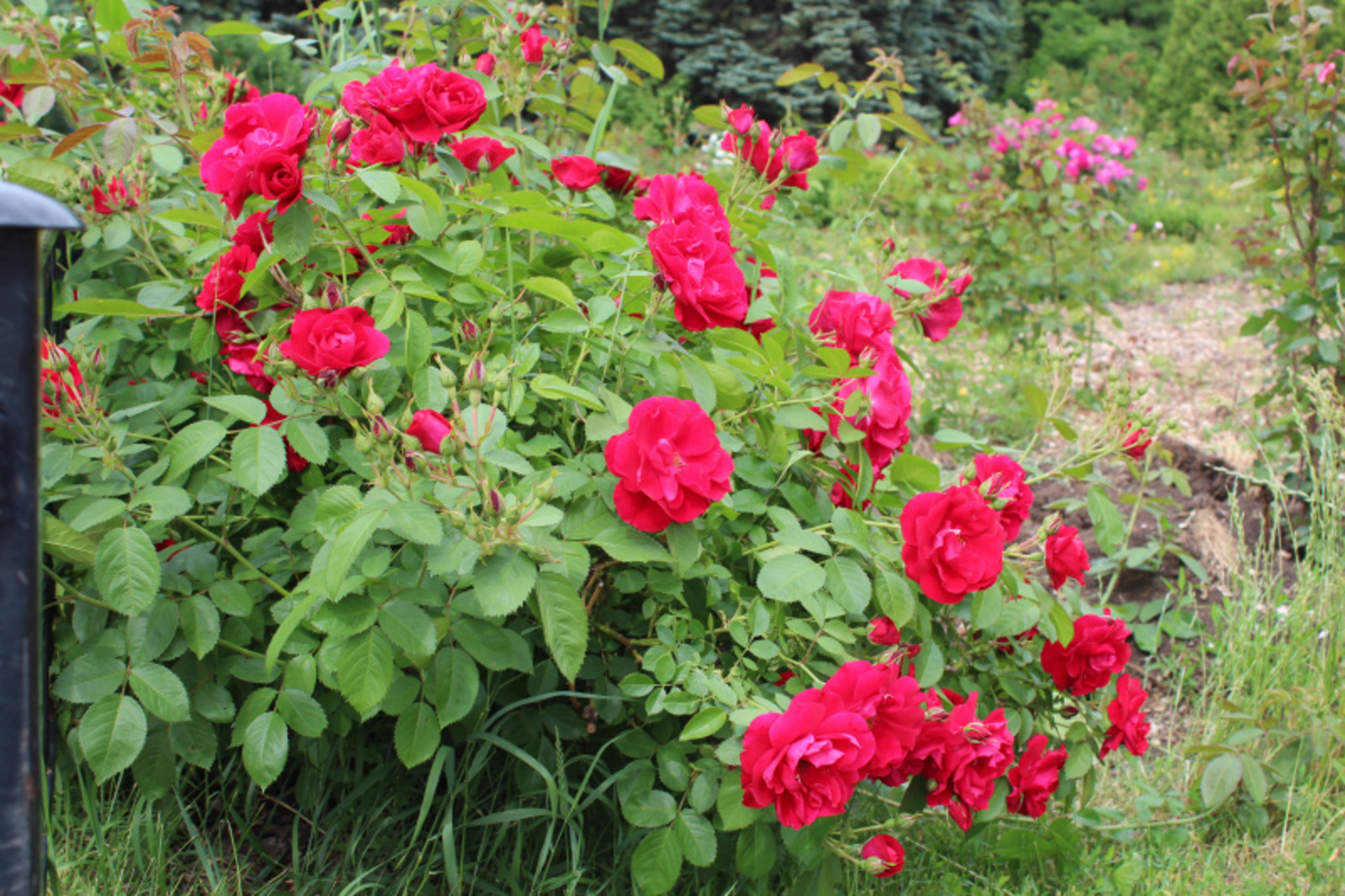 Фото автора.