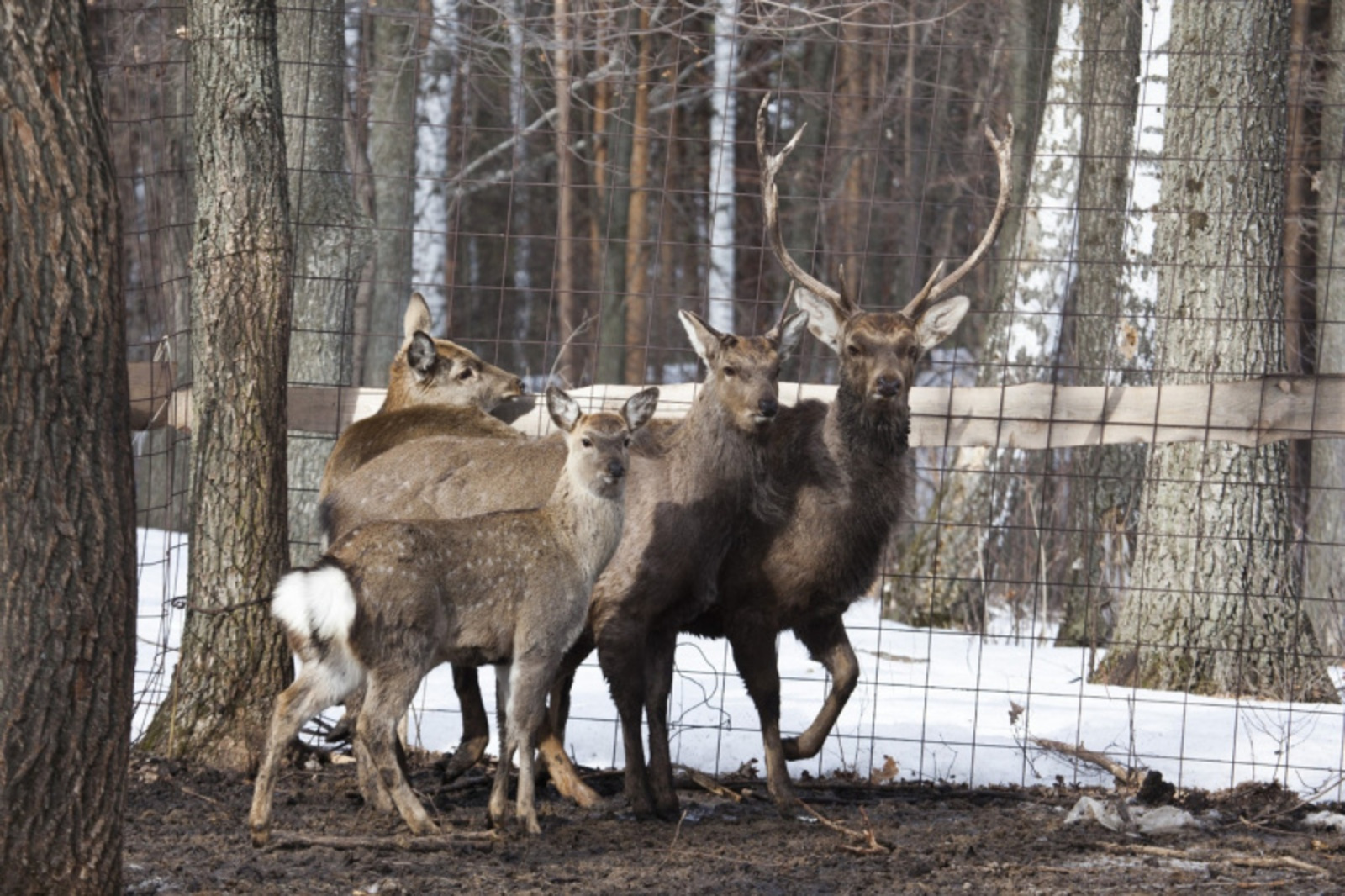 Фото Фаиля Абсатарова.