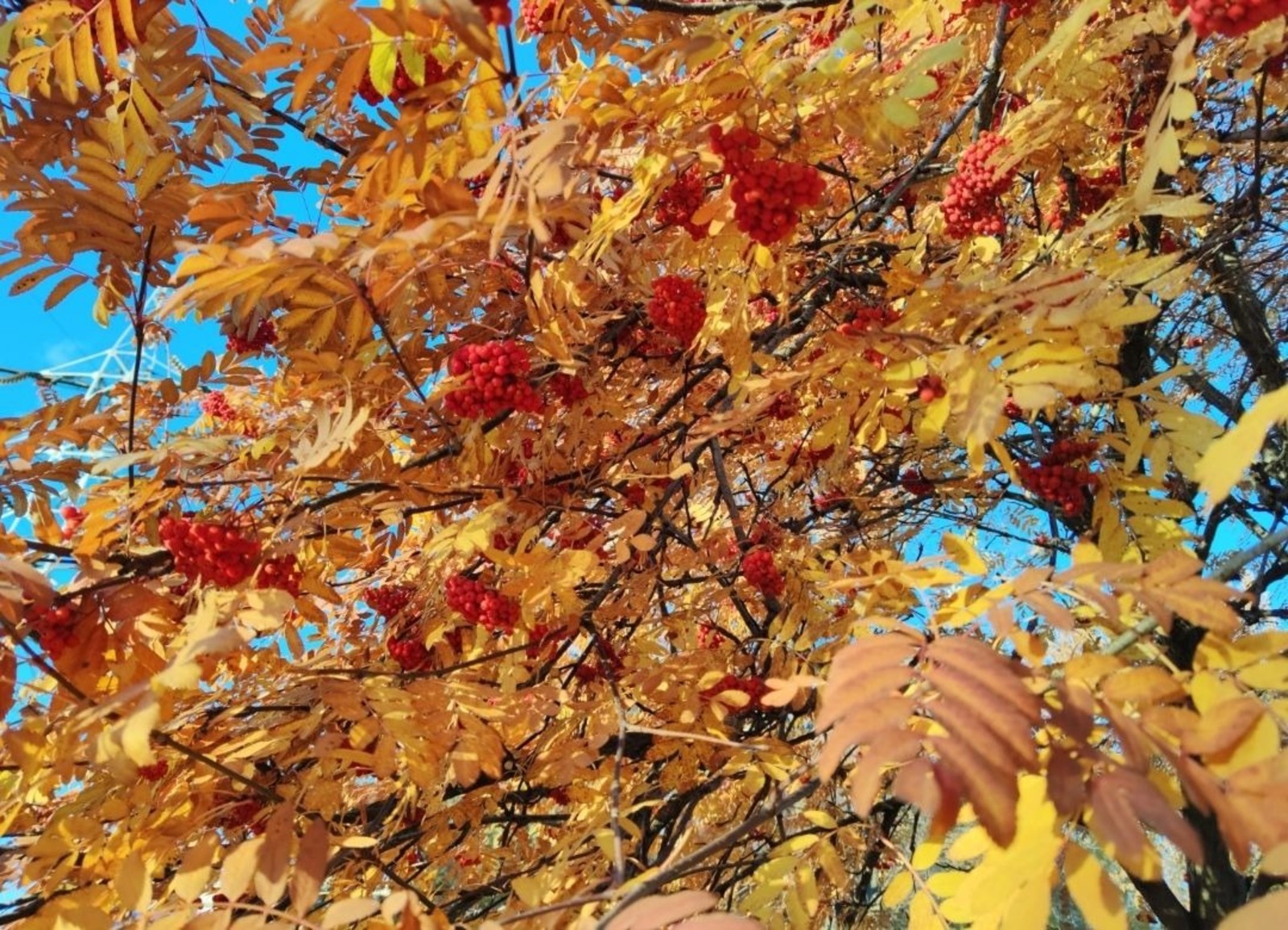 Дарьи Святохиной.