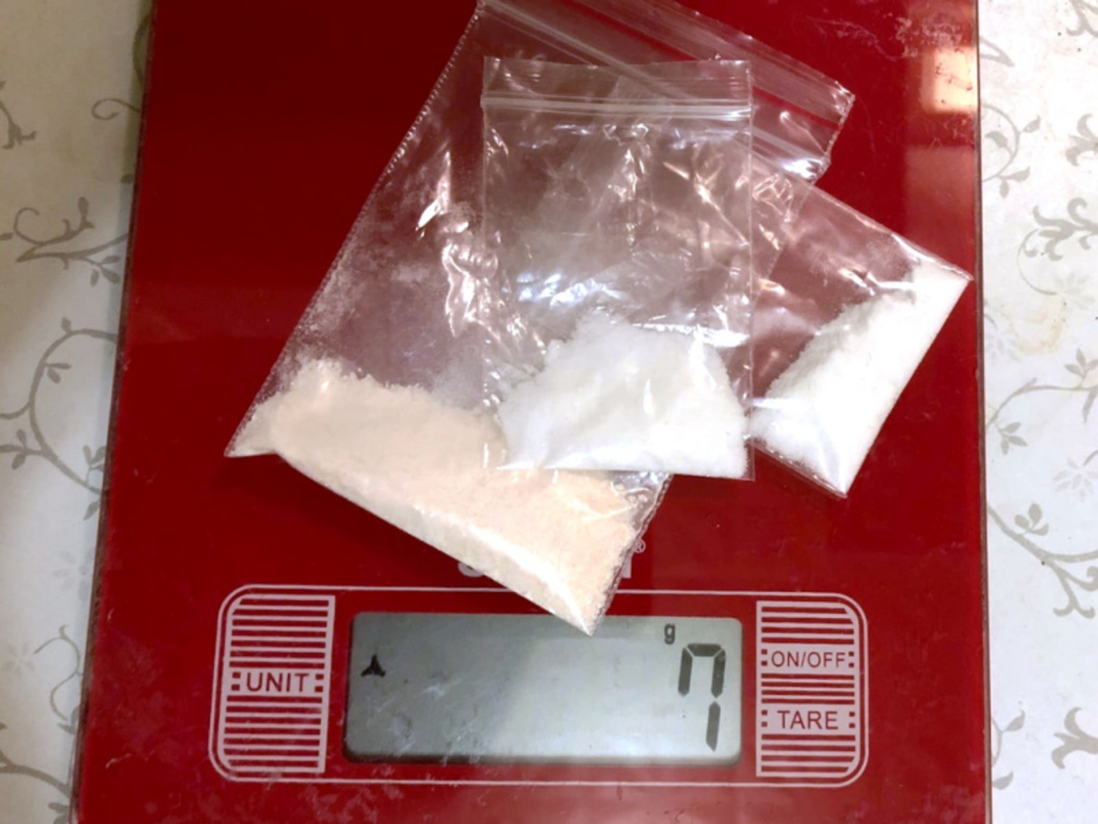 Фото Елены Колоколовой.