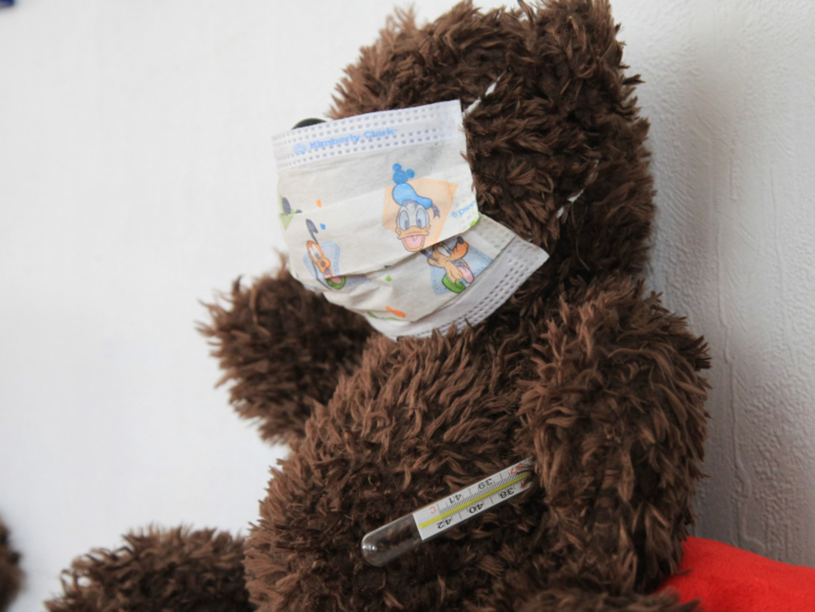 Фото Олега Яровикова.