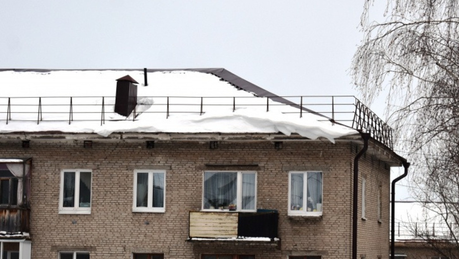 Елены Колоколовой.