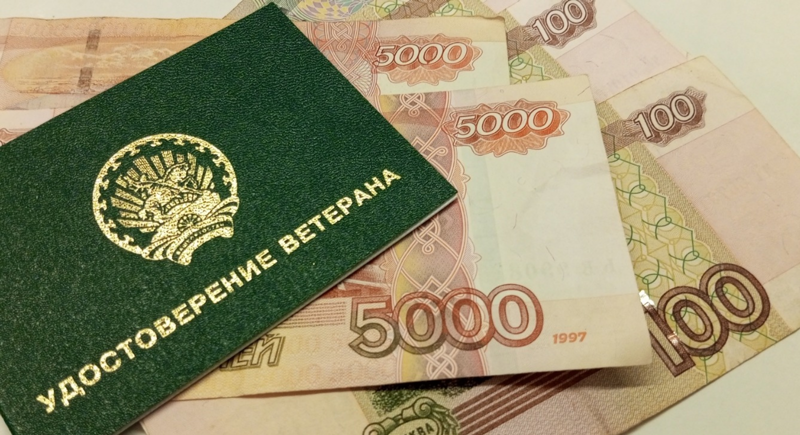 Евгении Сюткиной. «Общественная электронная газета».