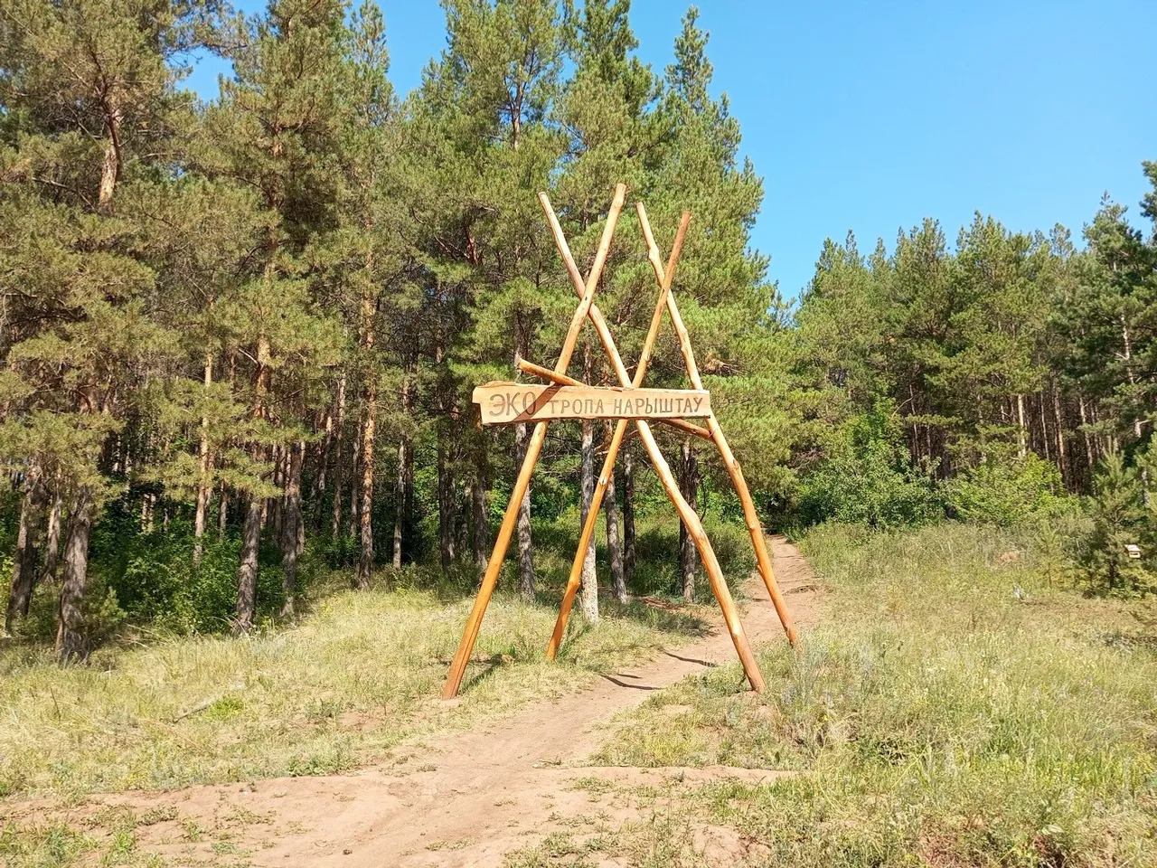 Евгении Сюткиной.