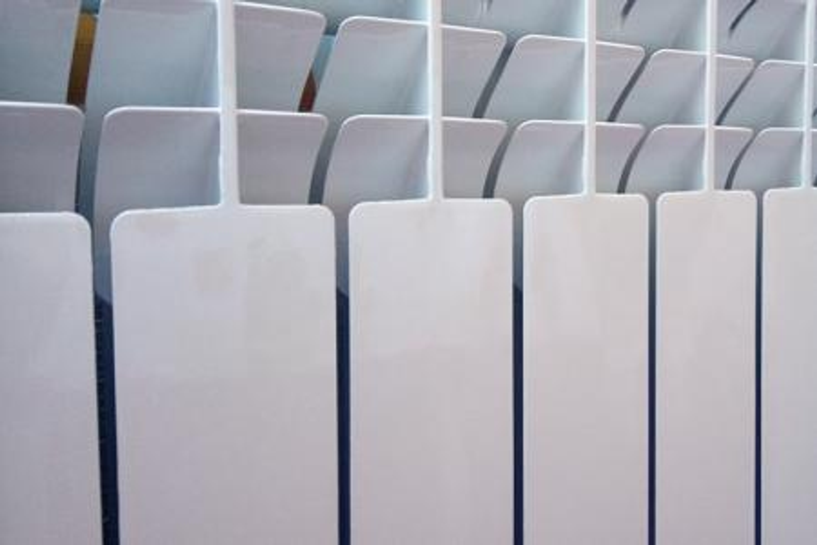 Фото Васили Саитовой.