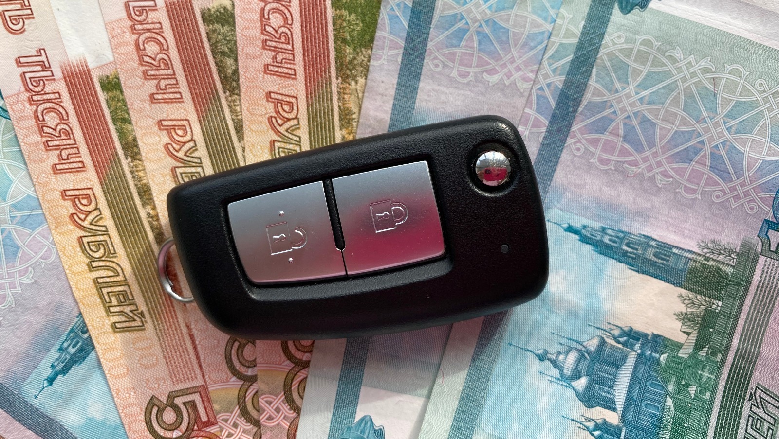 Елены Колоколовой.