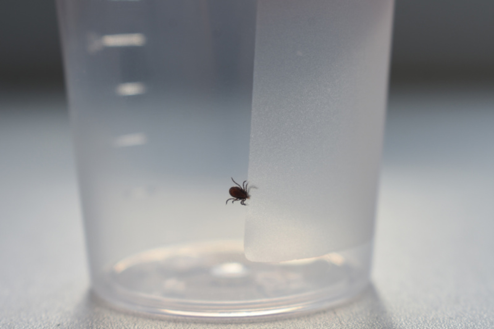 Фото предоставлено Константином К.